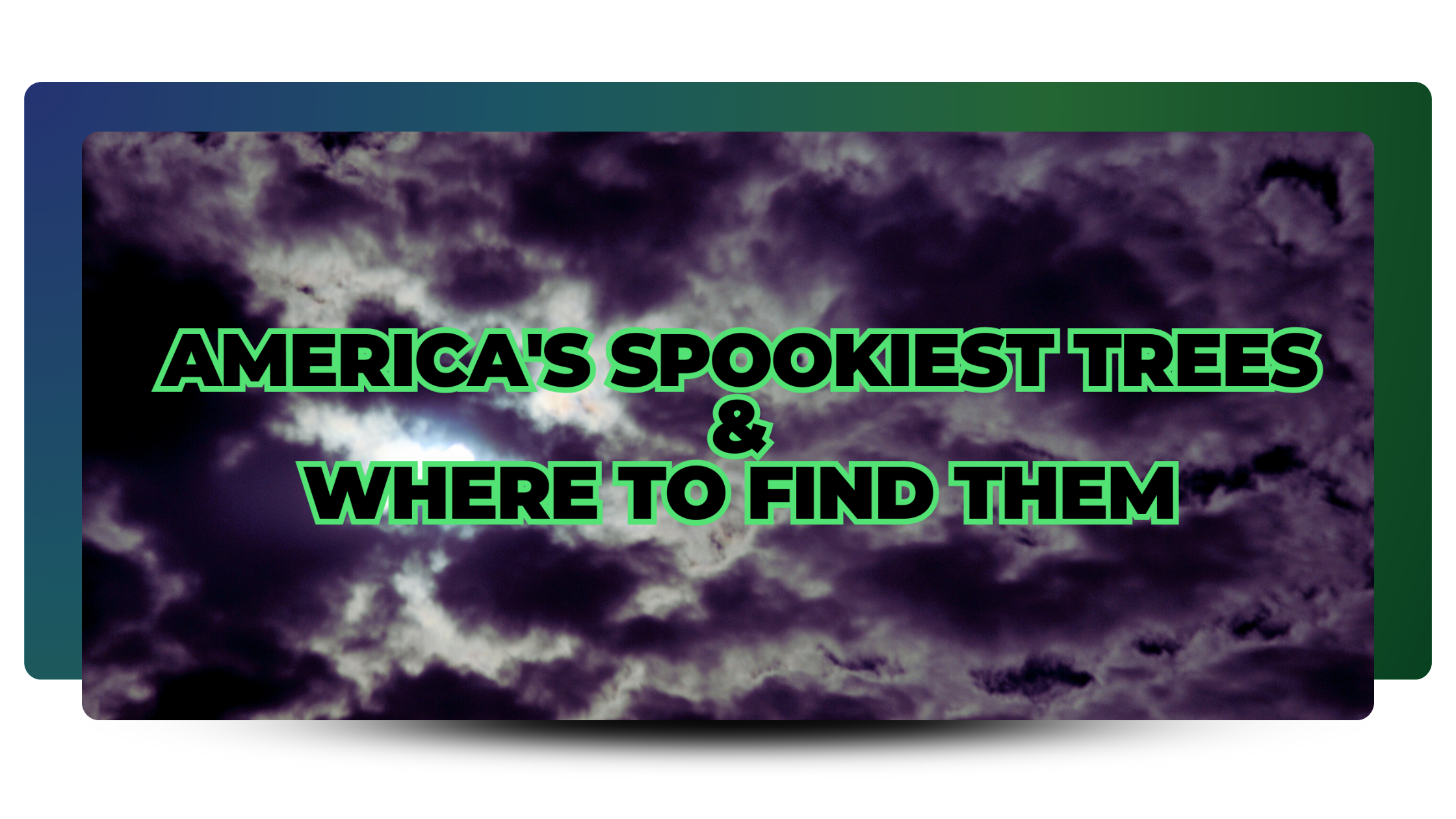 America's Spookiest Trees & Where to Find Them Text with Spooky night sky